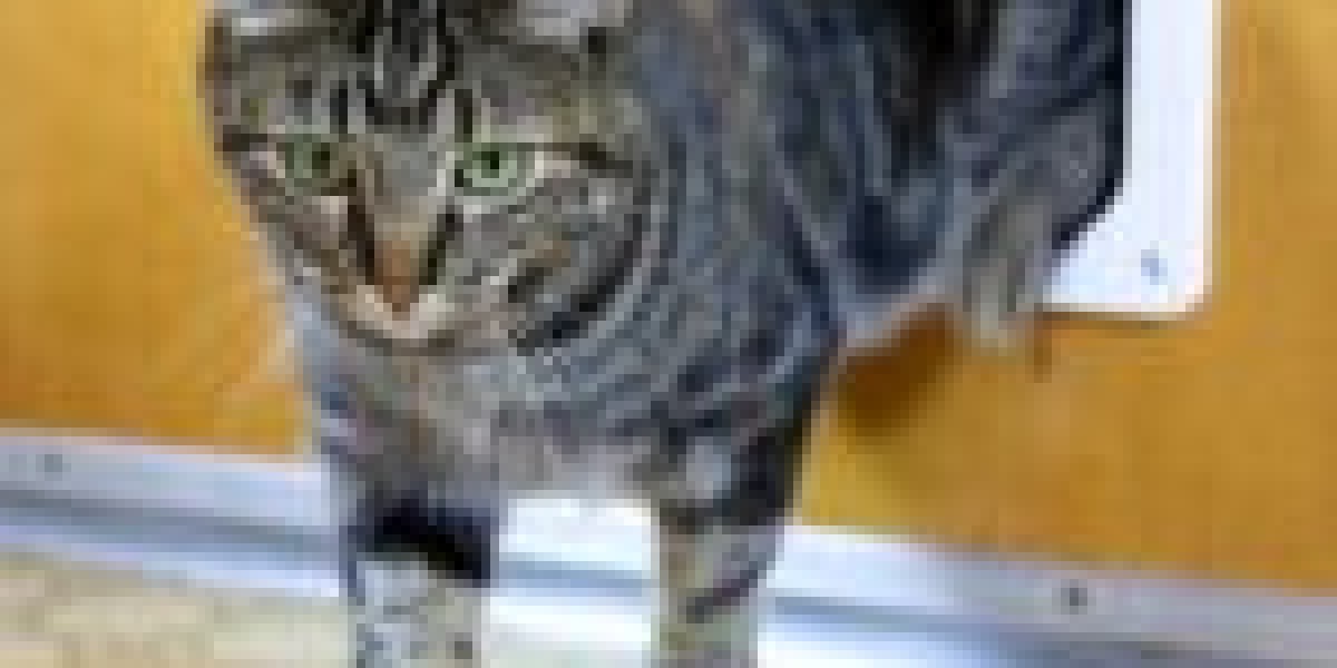 See What Cat Door Experts Tricks The Celebs Are Utilizing