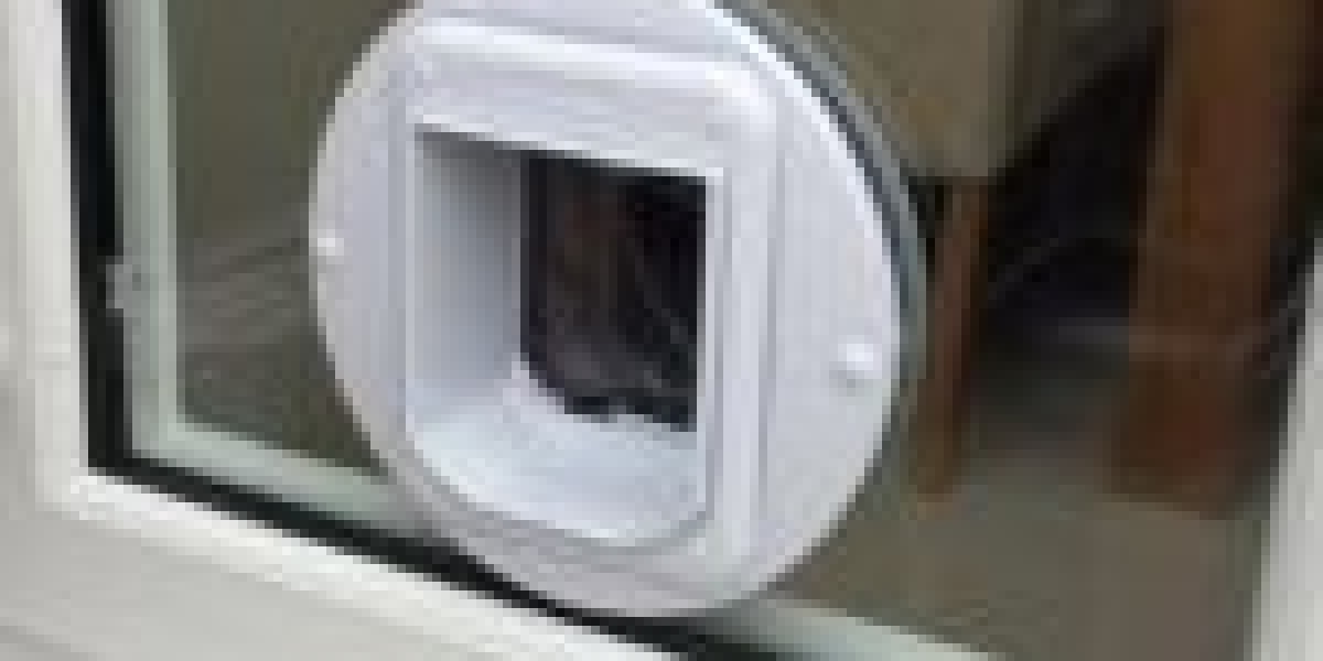 10 Meetups About Cat Door Placement You Should Attend