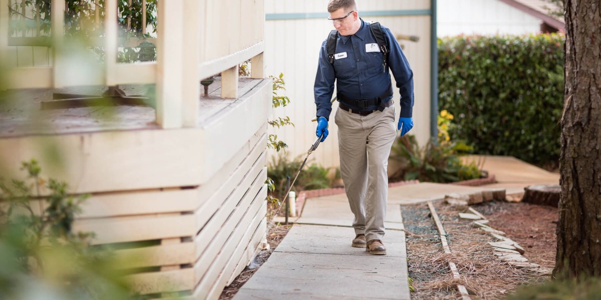 How to Choose the Best Pest Control Company in Arlington, Texas