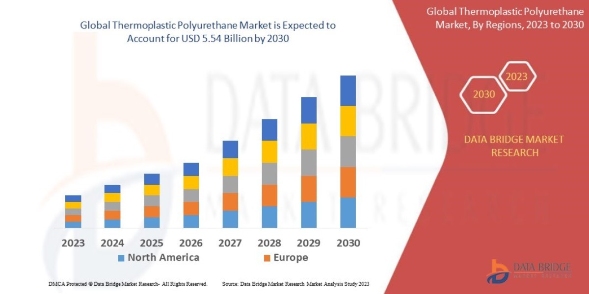 Thermoplastic Polyurethane Market Evolution: Technological Advancements and Strategic Trends