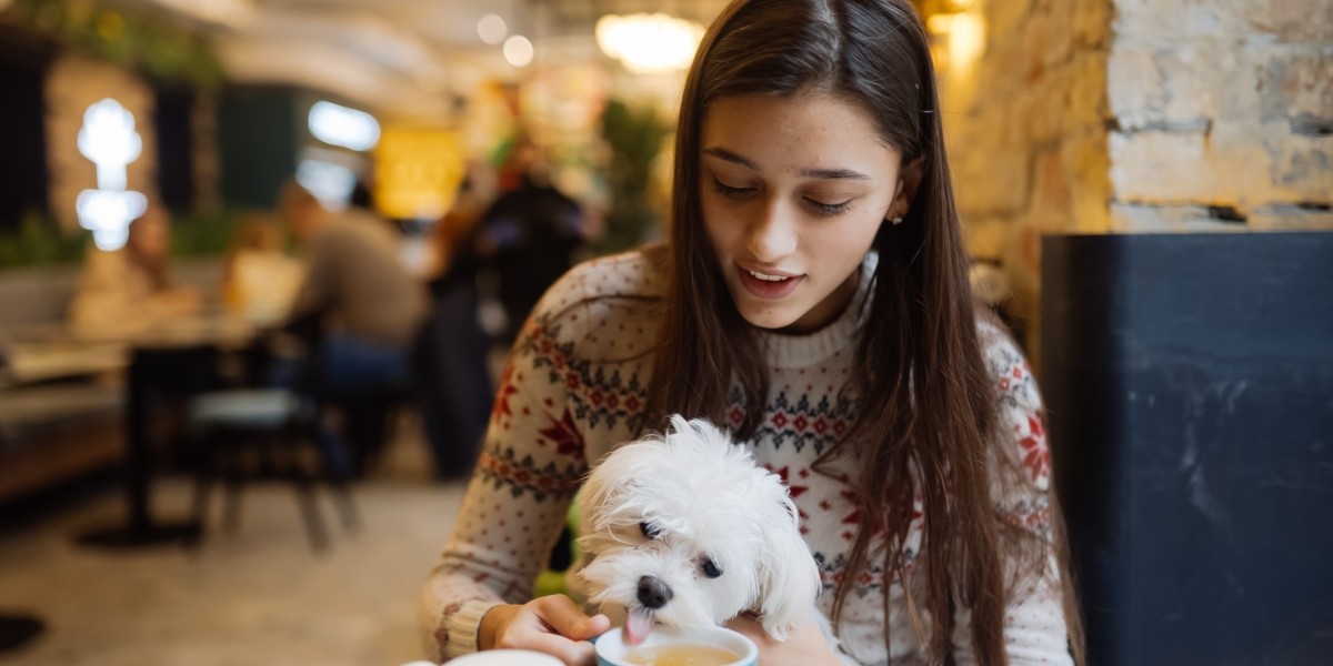 How WALA Registered Labradoodle Breeders Support Puppy Health and Wellness