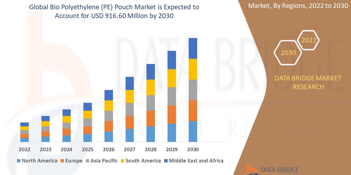 Bio Polyethylene (PE) Pouch Market Evolution: Technological Advancements and Strategic Trends
