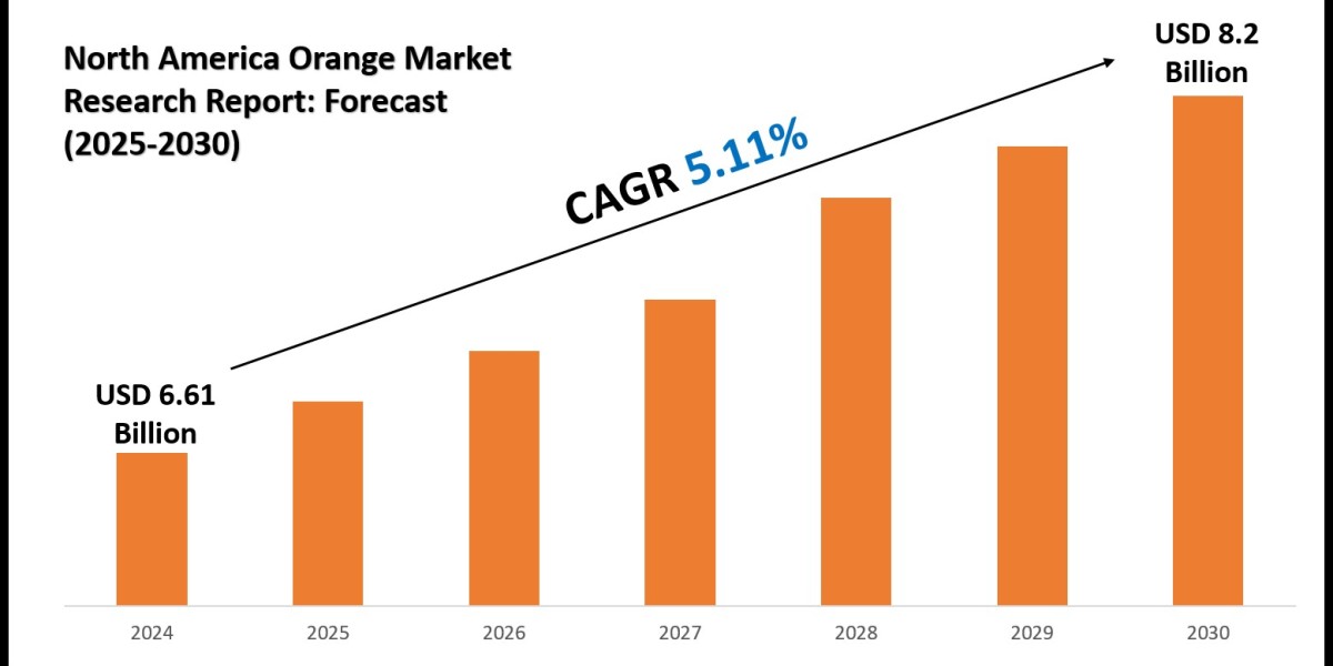 North America Orange Market Valuation and Demand Forecast