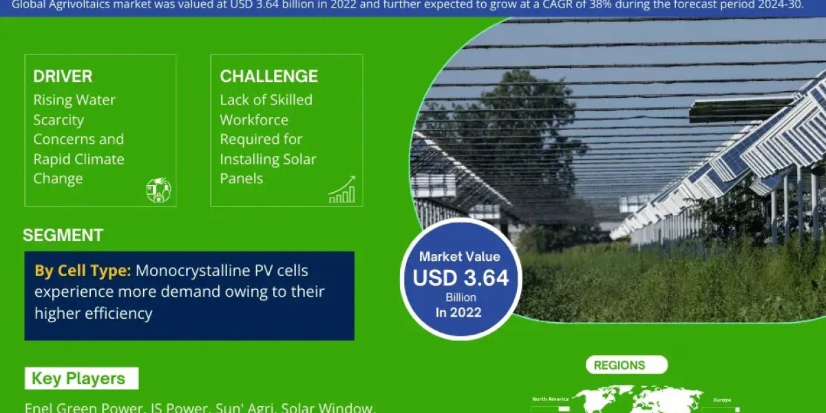 Agrivoltaics Market Trends 2024–2030: Share, Value & Opportunities