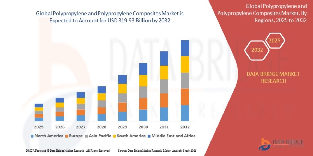 Polypropylene and Polypropylene Composites  Market Outlook: Emerging Opportunities & Growth Potential