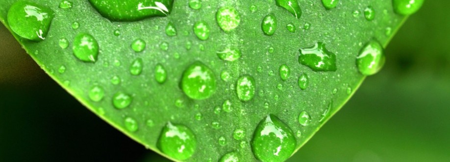 dew point Cover Image