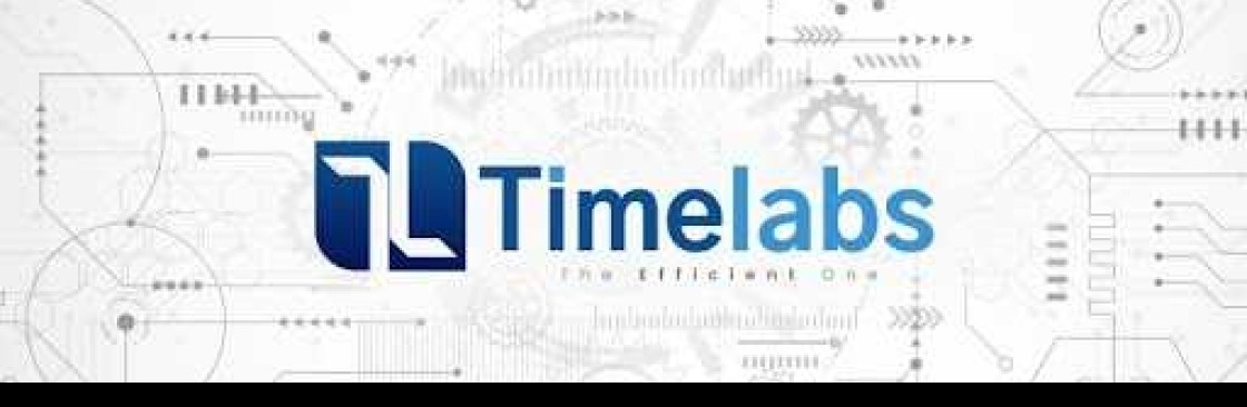 Timelabs HR Software Cover Image