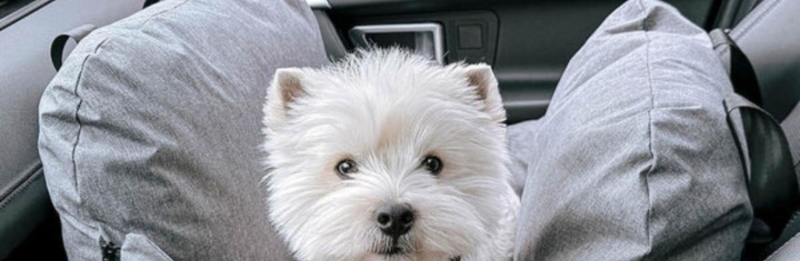 Silver Circle Pets Cover Image