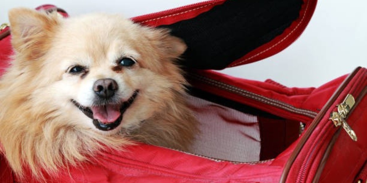 Comfortable and Convenient Travel with a Front Pet Carrier for Small Dogs